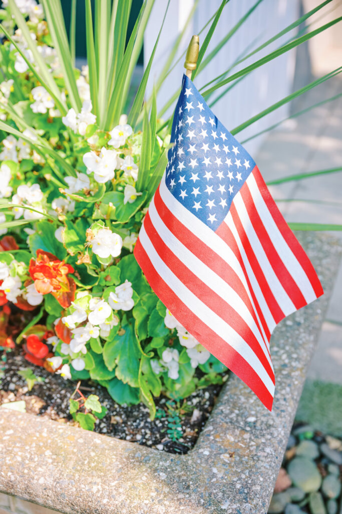 Decorative Details.  Image of small plant United States Flag